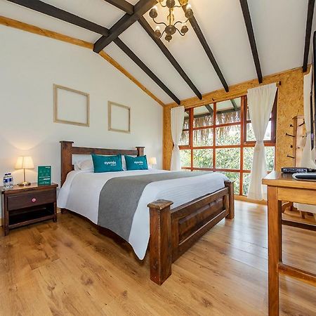 Ayenda Llanogrande Inn Rionegro Esterno foto