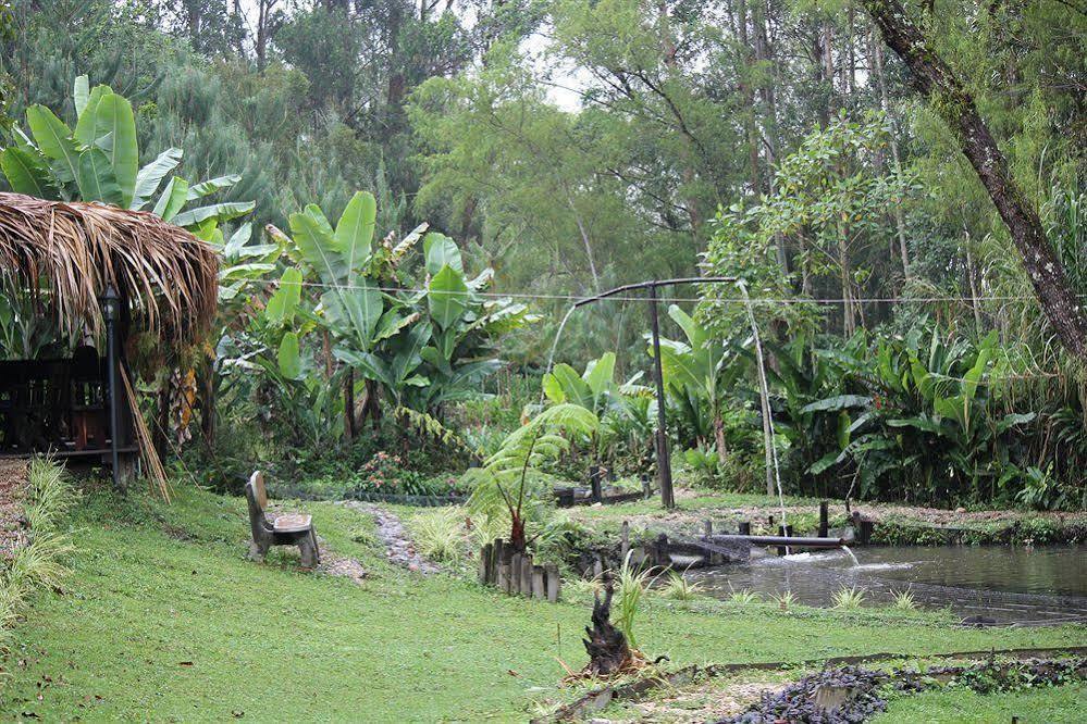 Ayenda Llanogrande Inn Rionegro Esterno foto
