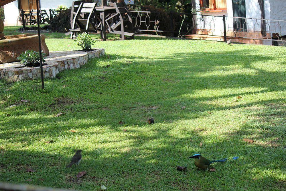Ayenda Llanogrande Inn Rionegro Esterno foto